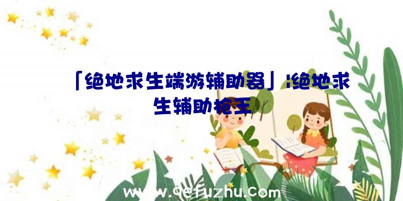 「绝地求生端游辅助器」|绝地求生辅助枪王